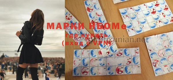 спиды Новозыбков