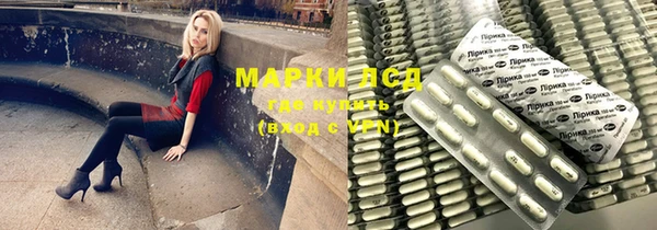 спиды Новозыбков
