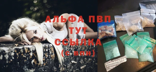 спиды Новозыбков