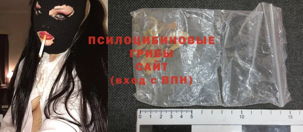 спиды Новозыбков