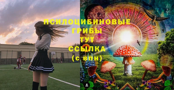 мдма Новодвинск
