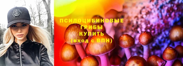 дурь Новокубанск