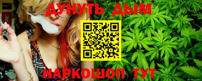 СК Волгодонск
