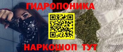 СК Волгодонск