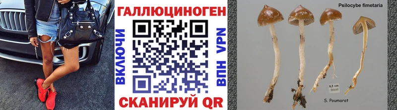Галлюциногенные грибы прущие грибы  что такое   Карпинск 