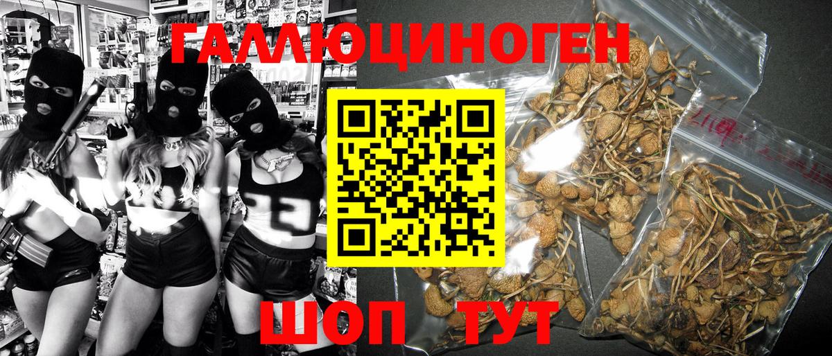 Галлюциногенные грибы Psilocybine cubensis  Карпинск  Галлюциногенные грибы ЛСД 